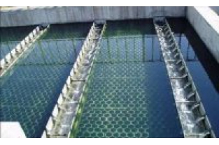 【干貨】生物濾池為什么一受沖擊氨氮去除率就會(huì)下降？